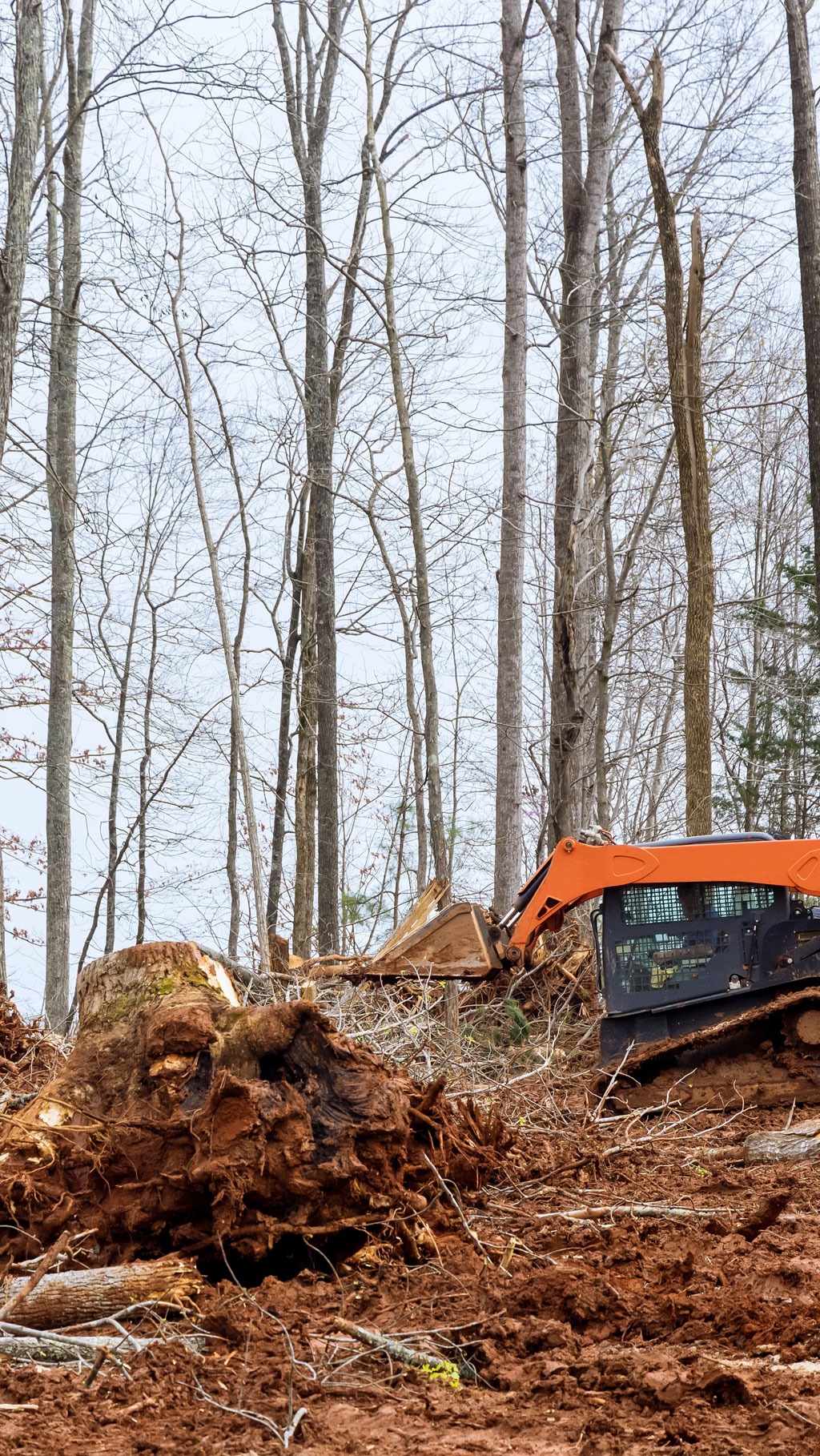 Commercial lot clearing in Kingston with heavy equipment removing trees and brush on development site