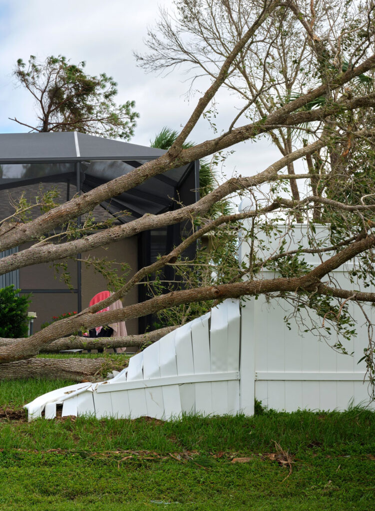 Storm damage tree removal in Kingston with arborists clearing fallen tree safely